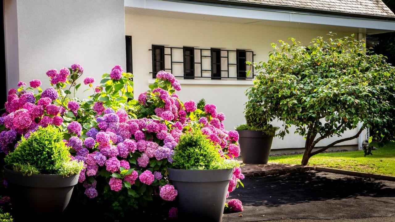 Le Champ Du Renne Bed & Breakfast Le Mans Dış mekan fotoğraf